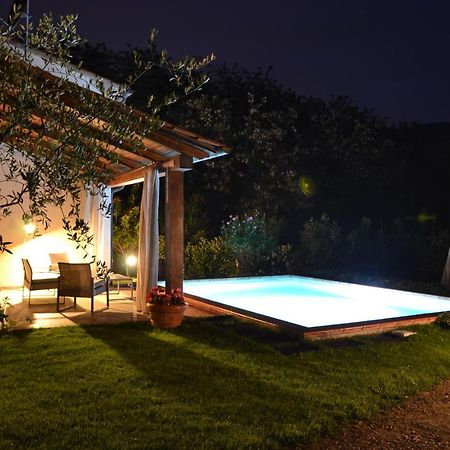 villa con piscina esclusiva nel verde Lucca Esterno foto