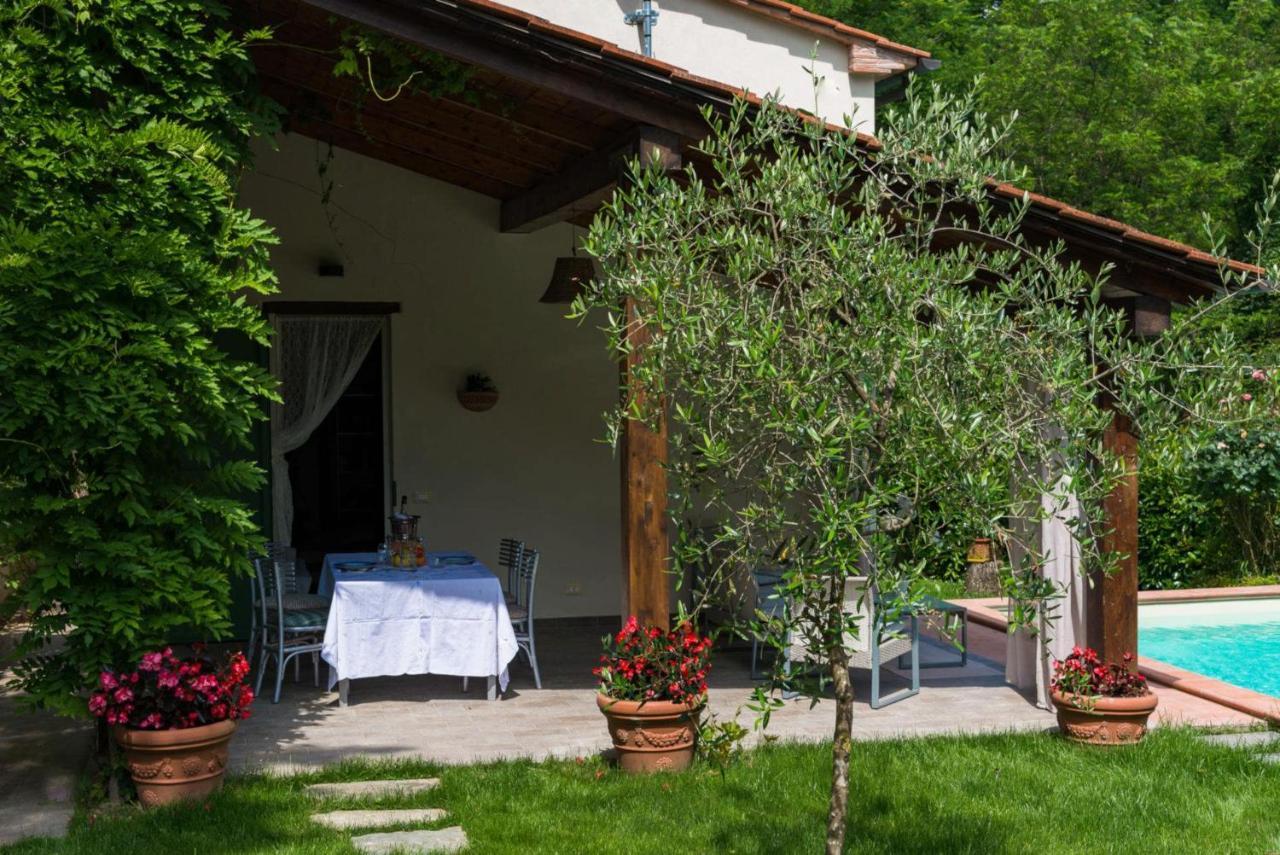 villa con piscina esclusiva nel verde Lucca Esterno foto