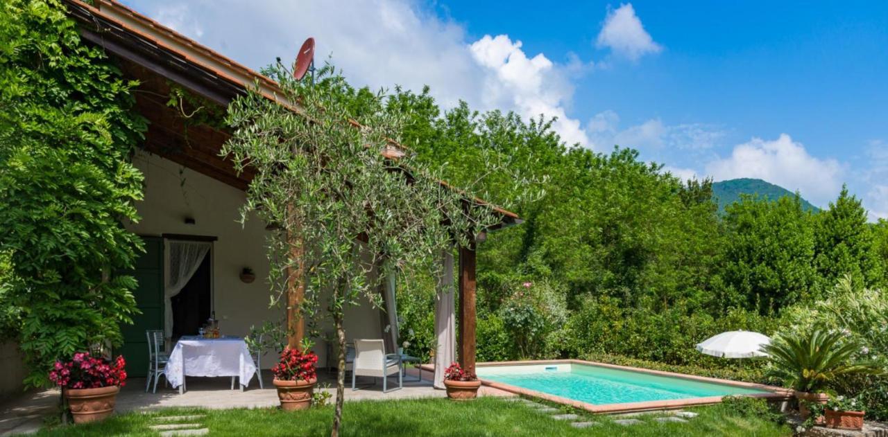 villa con piscina esclusiva nel verde Lucca Esterno foto