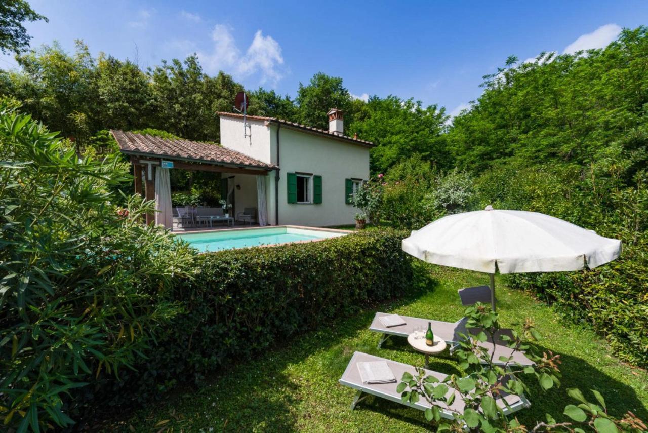 villa con piscina esclusiva nel verde Lucca Esterno foto